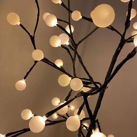 Elegant With Pool Villa *